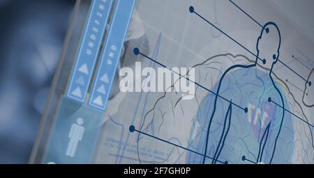 Composizione del trattamento dei dati sulle statistiche del corpo umano in background Foto Stock