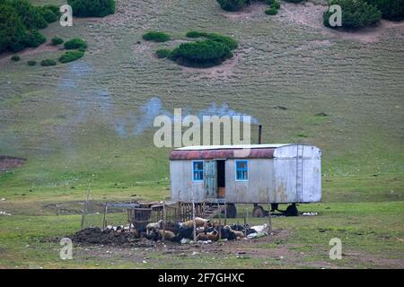 Penna e rimorchio per pecore, casa nomade mobile vicino a Sary-Tash nella Valle di Alay della Regione OSH, Kirghizistan Foto Stock