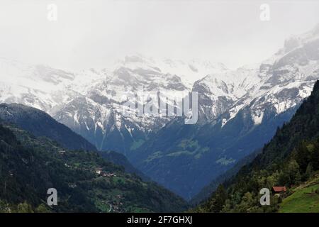 Paesaggio montano con la prima neve sulle cime delle montagne e una valle in primo piano. Le piste sono ricoperte da alberi di conifere in varie sfumature. Foto Stock