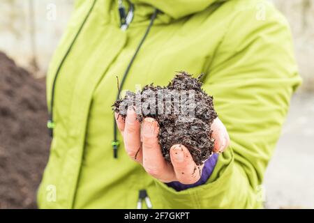 Agronomo che esamina la qualità di terreno agricolo fertile. Mani che tengono terreno in fattoria Foto Stock