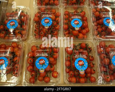 Vari Tomatos confezionati Foto Stock