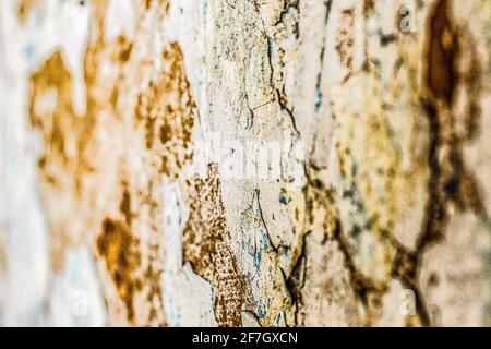 Frammento di parete con graffi e crepe. Vecchio muro bianco shabby Foto Stock