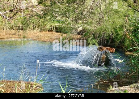 Sorgente di acqua termale nel Dehesas de Santa Fé (Spagna) Foto Stock