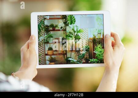 Videografia interna. Primo piano su giovane fotografo femminile con tablet pc fare foto in casa moderna in giornata di sole. Foto Stock