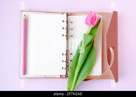 piatto a molla con tulipano, penna e notebook isolati in rosa. Foto Stock