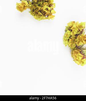 Composizione di erbe e fiori secchi, sfondo floreale, con spazio di copia Foto Stock