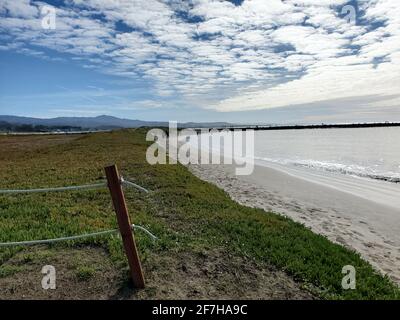 Stati Uniti. 30 gennaio 2021. Ampio colpo di una verdeggiante distesa costiera con sabbie bianche e acque calme, pedoni in lontananza, e parte di una recinzione in primo piano a Pillar Point Harbor Beach a Half Moon Bay, California, 30 gennaio 2021. (Foto di Smith Collection/Gado/Sipa USA) Credit: Sipa USA/Alamy Live News Foto Stock