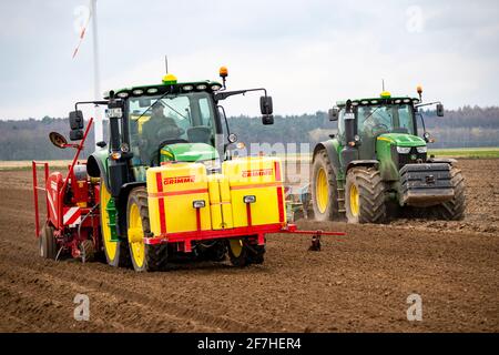 Patate precoci sono messe nel suolo del campo con una piantatrice, agricoltura, primavera, Foto Stock