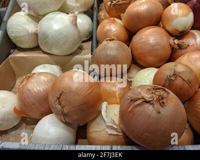 Varie cipolle deliziose disponibili per l'acquisto Foto Stock