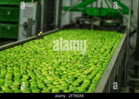 Mele verdi deliziose sulla linea di confezionamento al magazzino della frutta. Industria alimentare. Foto Stock