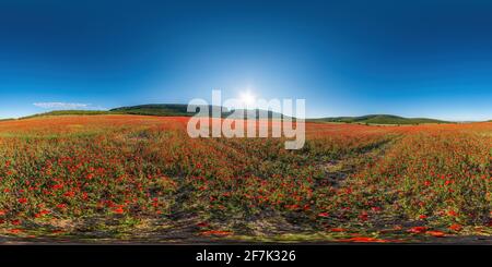 Enorme campo di papavero rosso sullo sfondo montagne senza giunture panorama sferico. Nessuno. Papaveri e fiori selvatici prati paesaggi, all'aperto. Senza fine Foto Stock