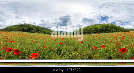 Enorme campo di papavero rosso sullo sfondo montagne senza giunture panorama sferico. Nessuno. Papaveri e fiori selvatici prati paesaggi, all'aperto. Senza fine Foto Stock