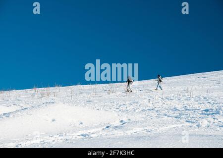 Escursionisti con racchette da neve, le Hohneck, Hautes Vosges, Alto Reno (68), regione Grand Est, Francia Foto Stock