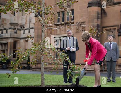 Sydney, Australia. 8 Apr 2021. Il Console Generale Cinese Zhou Limin (R, posteriore) e il Governatore del nuovo Galles del Sud (NSW) Margaret Beazley (anteriore) piantano congiuntamente un albero di ginkgo sul prato della Government House Sydney a Sydney, Australia, l'8 aprile 2021. Il Consolato Generale della Cina a Sydney e lo Stato Australiano del nuovo Galles del Sud (NSW) hanno tenuto una cerimonia di piantagione di alberi giovedì per celebrare il rapporto di provincia/stato gemellato tra la Provincia Cinese di Guangdong e il NSW. Credit: HU Jingchen/Xinhua/Alamy Live News Foto Stock