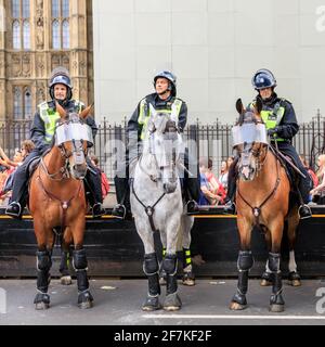 La polizia di Metropolitain, montata sulla polizia, ha montato i funzionari di filiale in equipaggiamento di rivolta sui cavalli ad una protesta a Westminster, Londra, Inghilterra Foto Stock