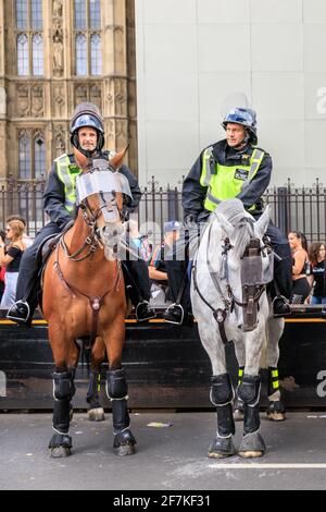 La polizia di Metropolitain, montata sulla polizia, ha montato i funzionari di filiale in equipaggiamento di rivolta sui cavalli ad una protesta a Westminster, Londra, Inghilterra Foto Stock