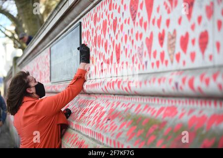 Una donna prende parte alle fasi finali di dipingere circa 150,000 cuori sul National Covid Memorial Wall sull'argine di Londra. Più di mille persone, tra cui il personale di NHS, i volontari e i membri del pubblico, hanno dipinto i cuori sul muro, che ora si estende per circa mezzo chilometro, per rappresentare i cari persi a causa del virus nel Regno Unito. Data immagine: Giovedì 8 aprile 2021. Foto Stock