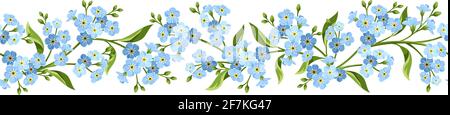 Vettore orizzontale senza giunture bordo con blu Forget-me-not fiori su sfondo bianco. Illustrazione Vettoriale