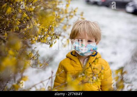 Carino bambino biondo, ragazzo, che corre intorno al cespuglio giallo fiorente, tempo di primavera, mentre nevica, tempo di primavera insolito con la neve Foto Stock