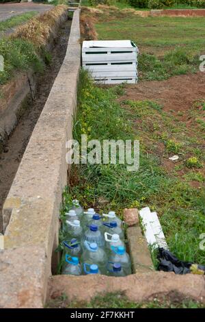 Campo di pomodori e lattuga appena piantati Foto Stock