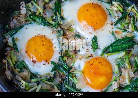 Shakshuka, uova fritte con foglie verdi di aglio selvatico, cipolla, pepe e spezie in padella di ghisa, primo piano. Uova fritte con aglio selvatico come shakshuka Foto Stock