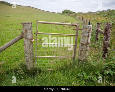 Un cancello ad un prato chiuso con un lucchetto e una catena e coperto di filo spinato arrugginito nella campagna del Devon, Inghilterra. Foto Stock