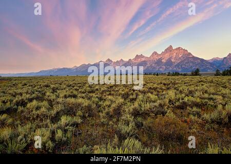 Alba al Grand Teton National Park. Wyoming. Stati Uniti. Foto Stock
