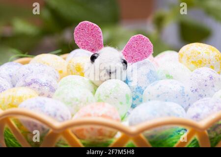 Lepre giocattolo divertente con uova di Pasqua colorate in un cestino. Foto di alta qualità Foto Stock