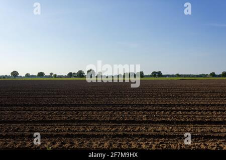 Tranquillo paesaggio rurale con campo arato durante la primavera a Malle, Belgio Foto Stock