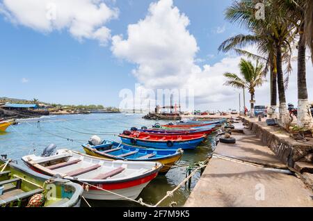 Piccole barche da pesca in legno ormeggiate nel porto di Hanga Roa, la città principale sull'isola di Pasqua (Rapa Nui), Cile Foto Stock