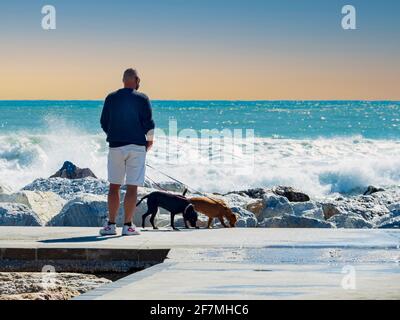 Un uomo anziano cammina con i suoi due cani lungo la banchina di pietra del porto di Fuengirola in una soleggiata giornata invernale. Foto Stock