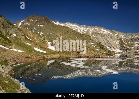 Lago di Certascan in estate, nei Pirenei catalani (Parco Naturale Alt Pirineu, Catalogna, Spagna, Pirenei) ESP: Estany de Certascan en verano (Pirineos) Foto Stock