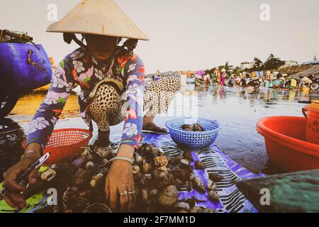 MUI ne - Vietnam - 22 gennaio 2019 : il venditore locale sta raccogliendo pesci e shelles al famoso villaggio di pescatori di Mui ne, Vietnam Foto Stock