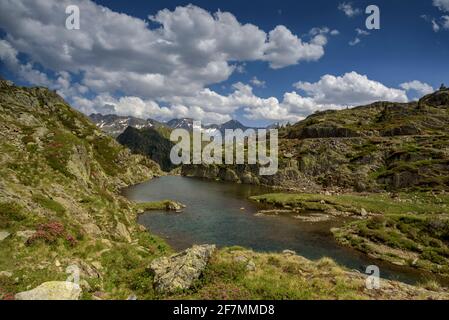 Scendendo dal lago Certascan, nei Pirenei catalani. Vista verso la cima Pica d'Estats in estate (PN Alt Pirineu, Catalogna, Spagna) Foto Stock