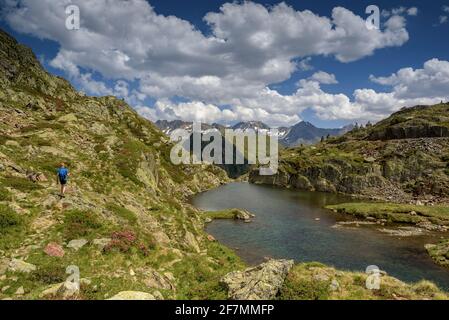 Scendendo dal lago Certascan, nei Pirenei catalani. Vista verso la cima Pica d'Estats in estate (PN Alt Pirineu, Catalogna, Spagna) Foto Stock
