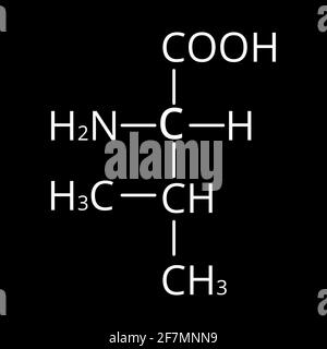 Valina aminoacido. Formula molecolare chimica dell'aminoacido valinico. Illustrazione vettoriale su sfondo isolato Illustrazione Vettoriale