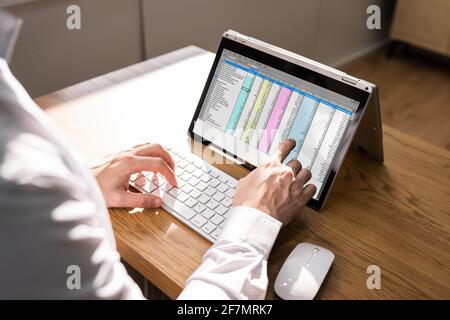Spreadsheet Business Data Analyst utilizzando lo schermo del computer Foto Stock