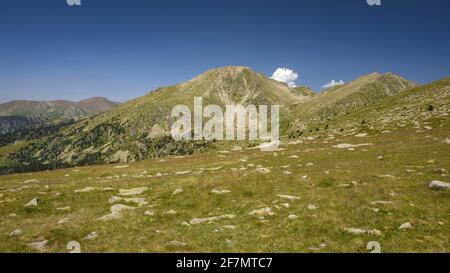 Montagne dei Pirenei. Tossal Bovinar visto dal sentiero per Tossa Plana de Lles (Cerdanya, Catalogna, Spagna, Pirenei) Foto Stock