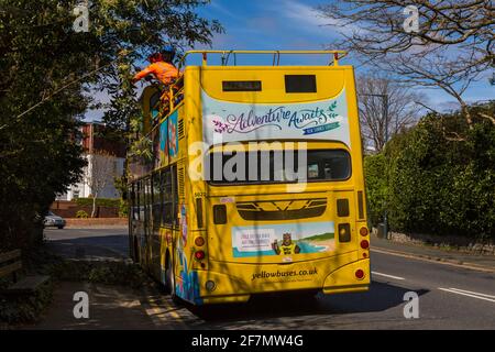 Taglio indietro alberi a strapiombo dalla cima di autobus a due piani gialli autobus gialli autobus per passare sotto a Bournemouth, Dorset UK nel mese di aprile Foto Stock