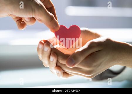 Donazione o regalo di beneficenza della donna afroamericana Foto Stock