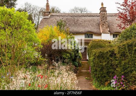 Cottage di paglia a Cockington Devon Foto Stock