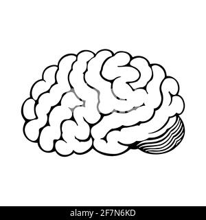 Illustrazione della linea nera e bianca del cervello umano. Illustrazione Vettoriale