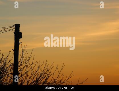 Il cielo fuori di una camera da letto in una serata di primavera con silhouette di palo del telefono e un albero dietro di esso Foto Stock