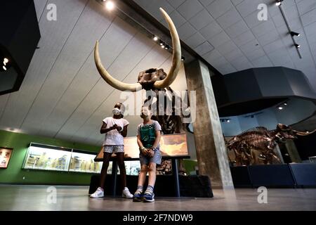 Los Angeles, Stati Uniti. 8 Apr 2021. I bambini visitano il la Brea Tar Pits and Museum di Los Angeles, California, Stati Uniti, l'8 aprile 2021. Dopo più di un anno di chiusura del COVID-19, la Brea Tar Pits e il Museo di Los Angeles riaprirono al pubblico giovedì. Musei, gallerie, giardini botanici, giardini zoologici e acquari nella contea di Los Angeles sono autorizzati a riaprire al pubblico i loro spazi interni al 50% di occupazione massima al coperto dopo l'ingresso della contea nel "Orange Tier". Credit: Xinhua/Alamy Live News Foto Stock