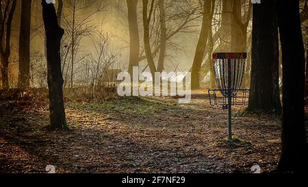 Un cestino Disc Golf nel bosco durante un alba e nebbia di prima mattina. Foto Stock