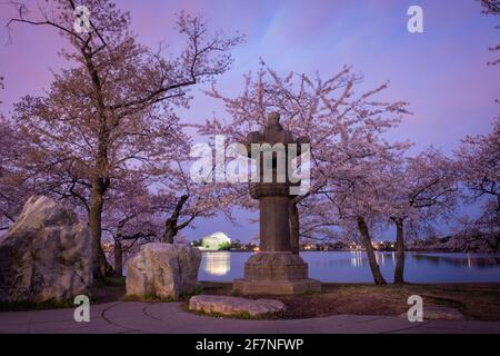 La lanterna di pietra giapponese di granito al bacino di marea a Washington, D.C. è, più vecchio degli Stati Uniti stessi, si erge otto e mezzo piedi di altezza a Foto Stock