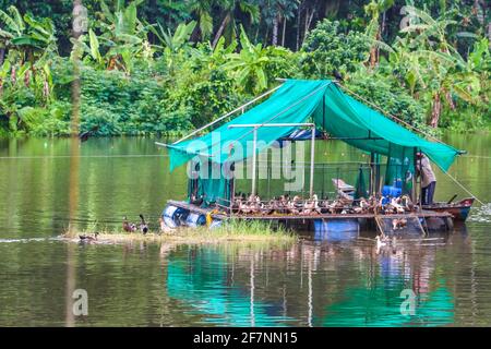 pesca kerala fiume Foto Stock