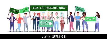 mix di razza persone che tengono legalizzare cannabis ora manifestano medico poster di protesta marijuana legalizzazione concetto di consumo di droga orizzontale intera lunghezza Illustrazione Vettoriale