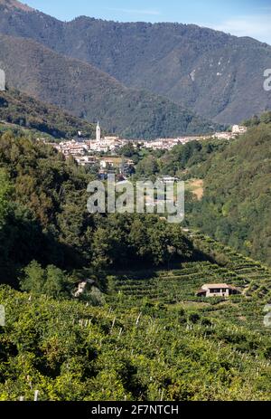 Pittoresche colline di vigneti del Prosecco spumante regione in Guietta e Guia. L'Italia. Foto Stock