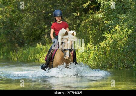 Ragazza sulla parte posteriore di un pony tedesco che trotting in un brook Foto Stock